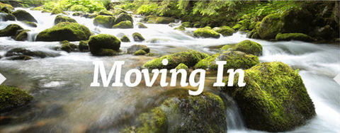 Moving In